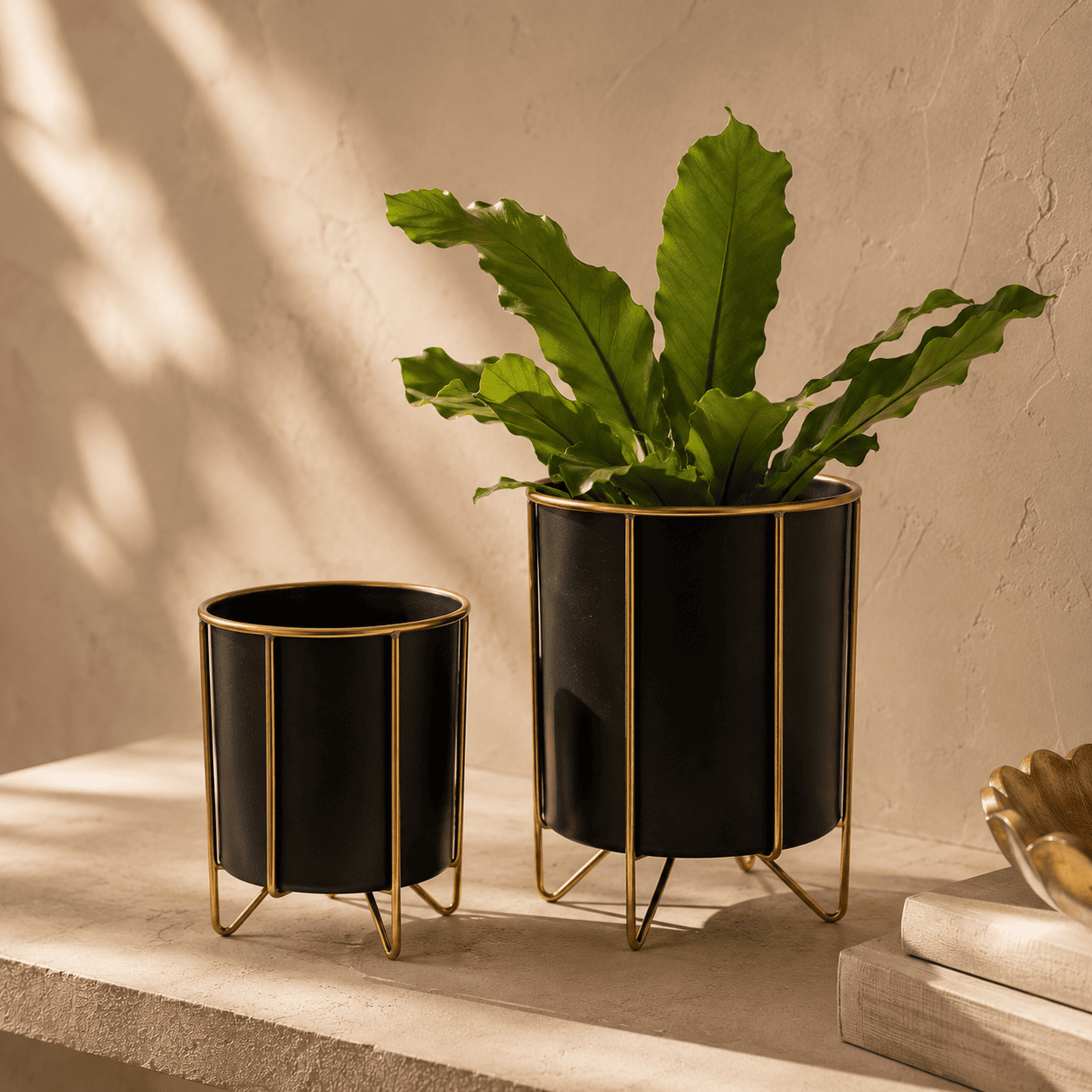 Noir Arc Planters — Set of 2