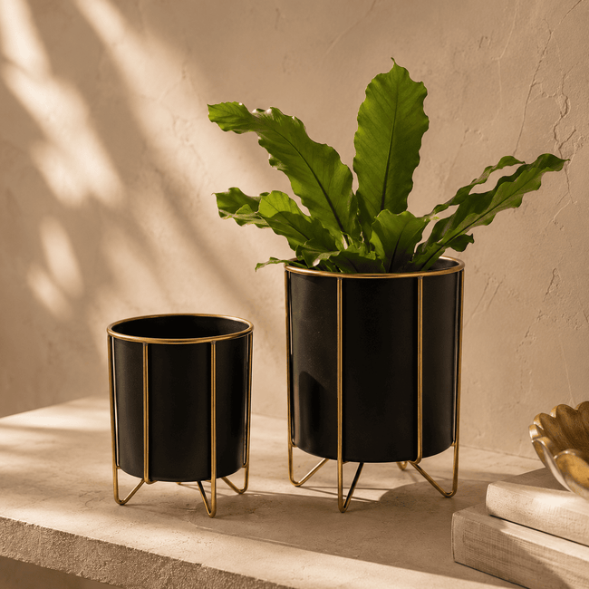 Noir Arc Planters — Set of 2