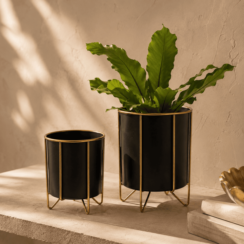 Noir Arc Planters — Set of 2