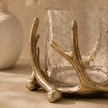 Antler Glow Candle Holders (Set of 2)